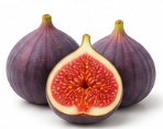 Fig